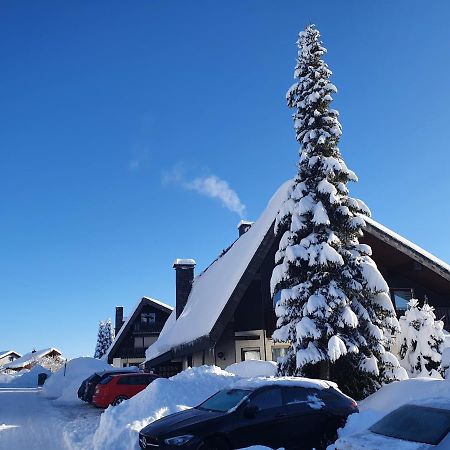 Ferienhaus-Schoenwald Im Herzen Des Schwarzwaldes 1Zimmer Wohnung Mit Terrasse App17 Екстериор снимка