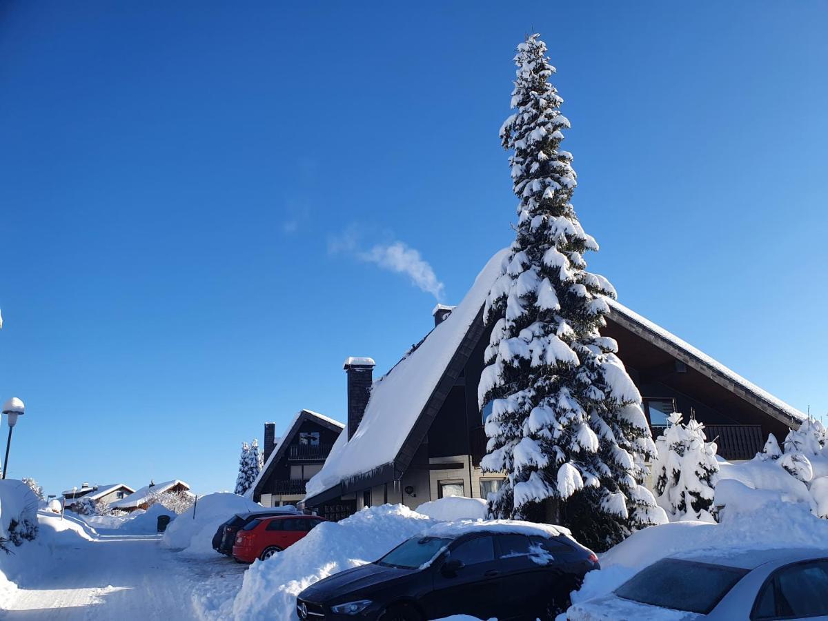 Ferienhaus-Schoenwald Im Herzen Des Schwarzwaldes 1Zimmer Wohnung Mit Terrasse App17 Екстериор снимка