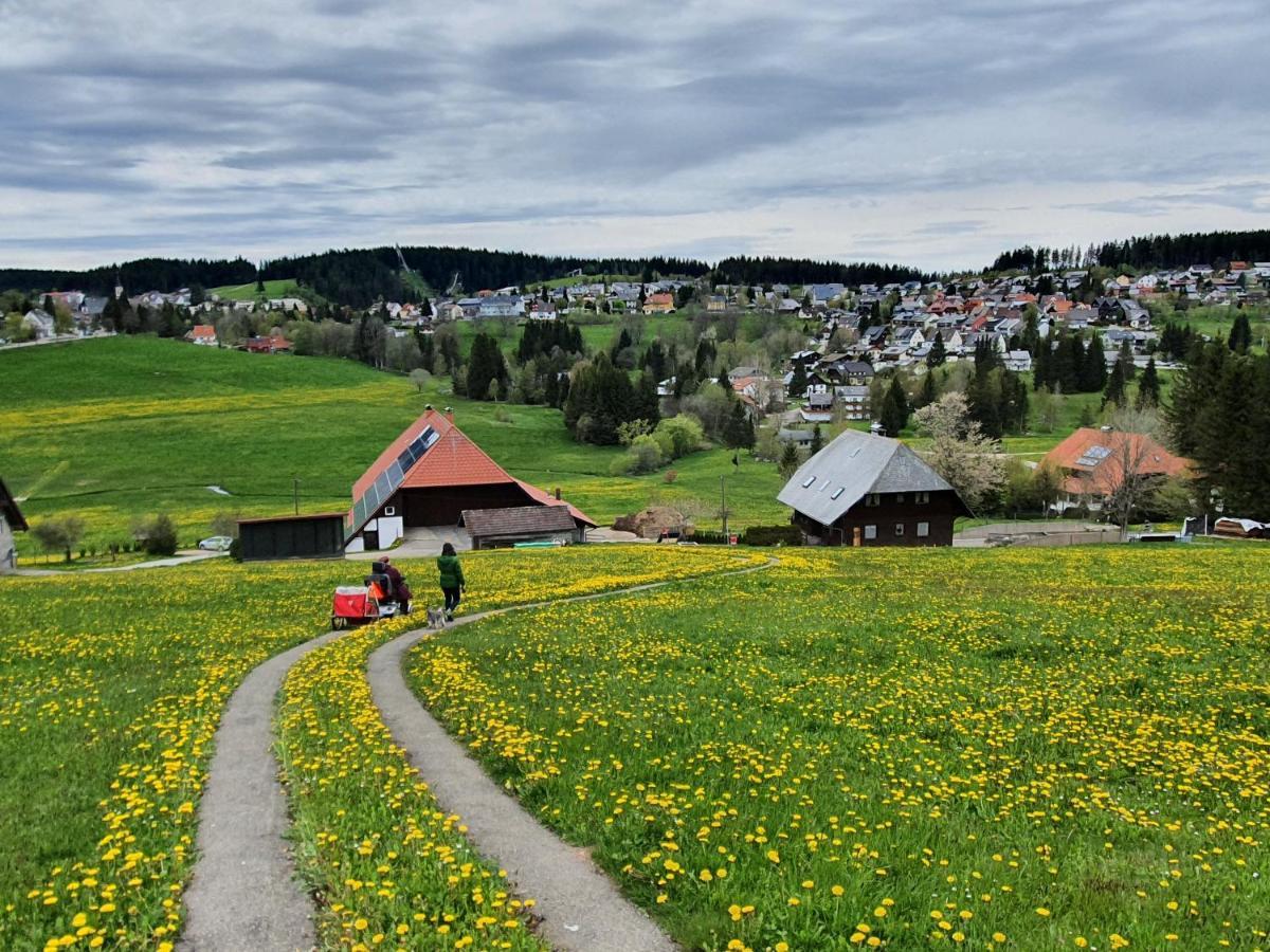 Ferienhaus-Schoenwald Im Herzen Des Schwarzwaldes 1Zimmer Wohnung Mit Terrasse App17 Екстериор снимка